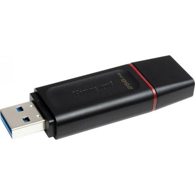 FLASH USB KINGSTON 256GB DTX/256GB USB3.2 Black