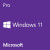 Microsoft Windows 11 Pro 64-bit English