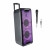 Bluetooth Speaker NGS [WILD RAVE 2] 300W