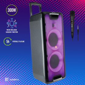 Bluetooth Speaker NGS [WILD RAVE 2] 300W