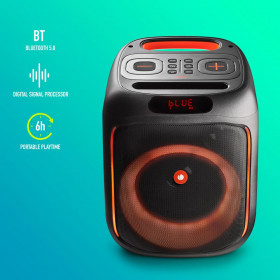Bluetooth Speaker NGS WILD SWAG 80W