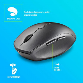 Mouse NGS Bee Silent Wireless Black